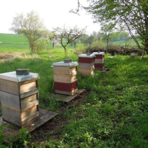 Bienenstand